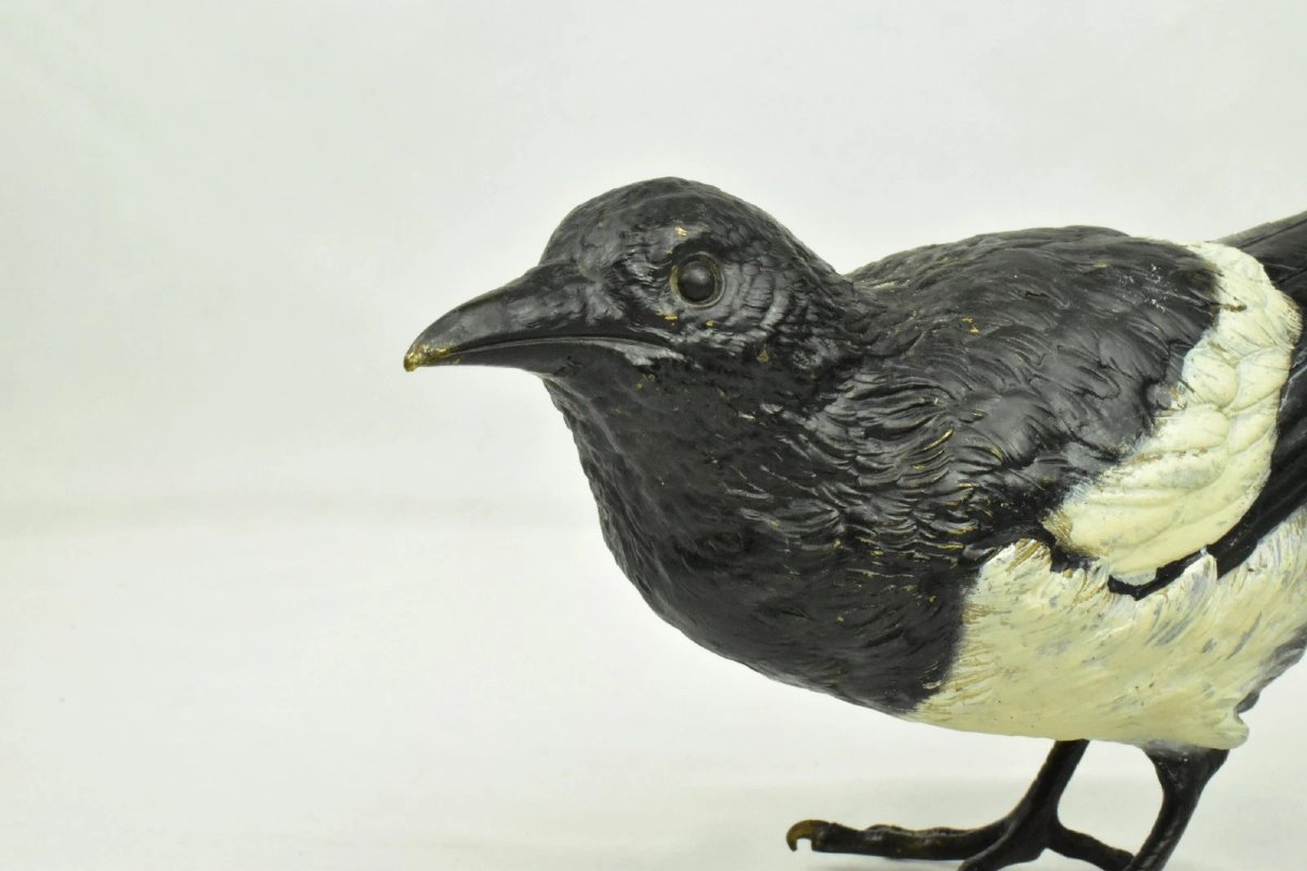 Sculpture d'oiseau pie en bronze de Vienne, signée Franz Bergman, peinte à froid.-photo-4