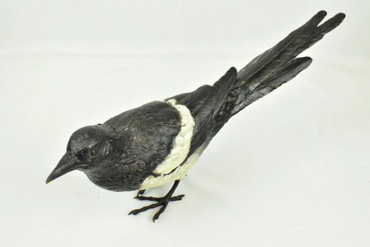 Sculpture d'oiseau pie en bronze de Vienne, signée Franz Bergman, peinte à froid.-photo-3