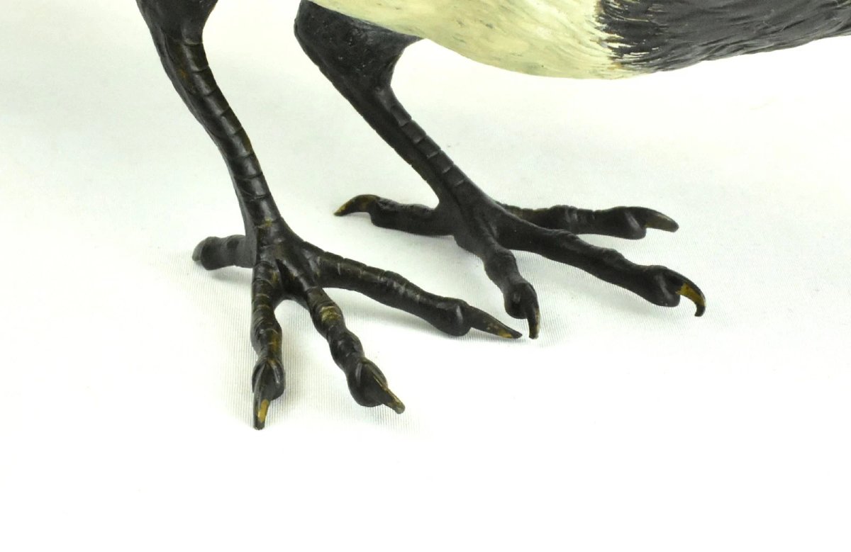 Sculpture d'oiseau pie en bronze de Vienne, signée Franz Bergman, peinte à froid.-photo-4