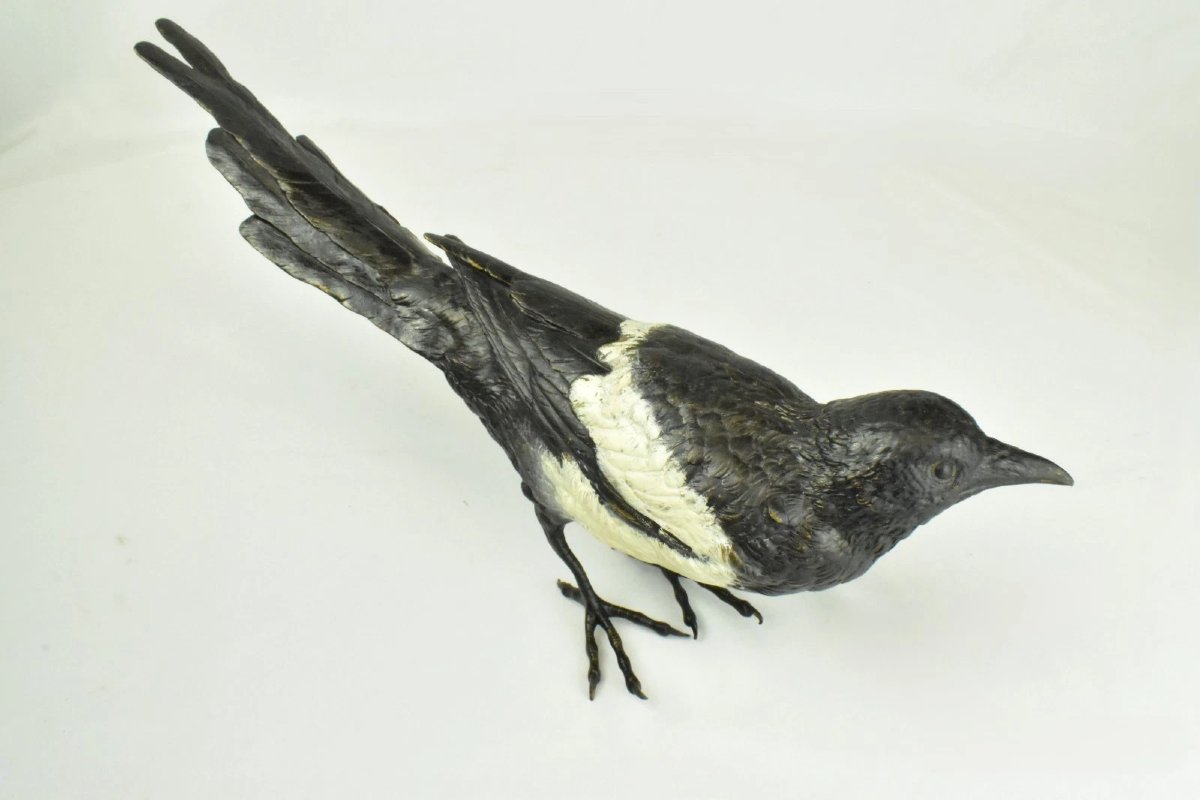 Sculpture d'oiseau pie en bronze de Vienne, signée Franz Bergman, peinte à froid.-photo-5