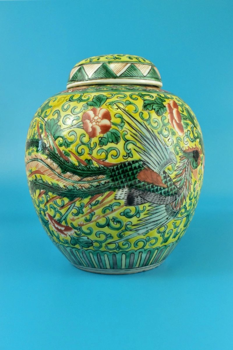 Pot à gingembre ancien chinois Qing Famille Jaune Wucai en porcelaine jaune Phoenix-photo-2