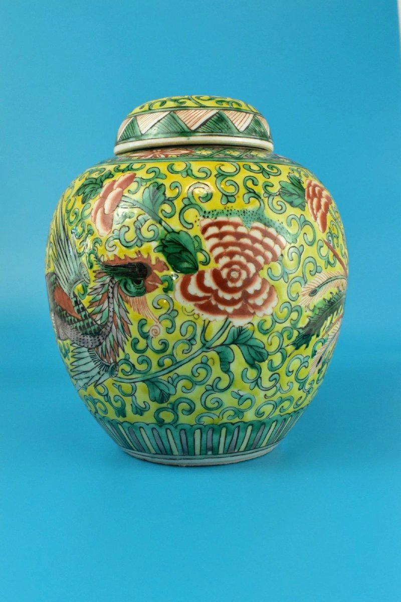 Pot à gingembre ancien chinois Qing Famille Jaune Wucai en porcelaine jaune Phoenix-photo-3