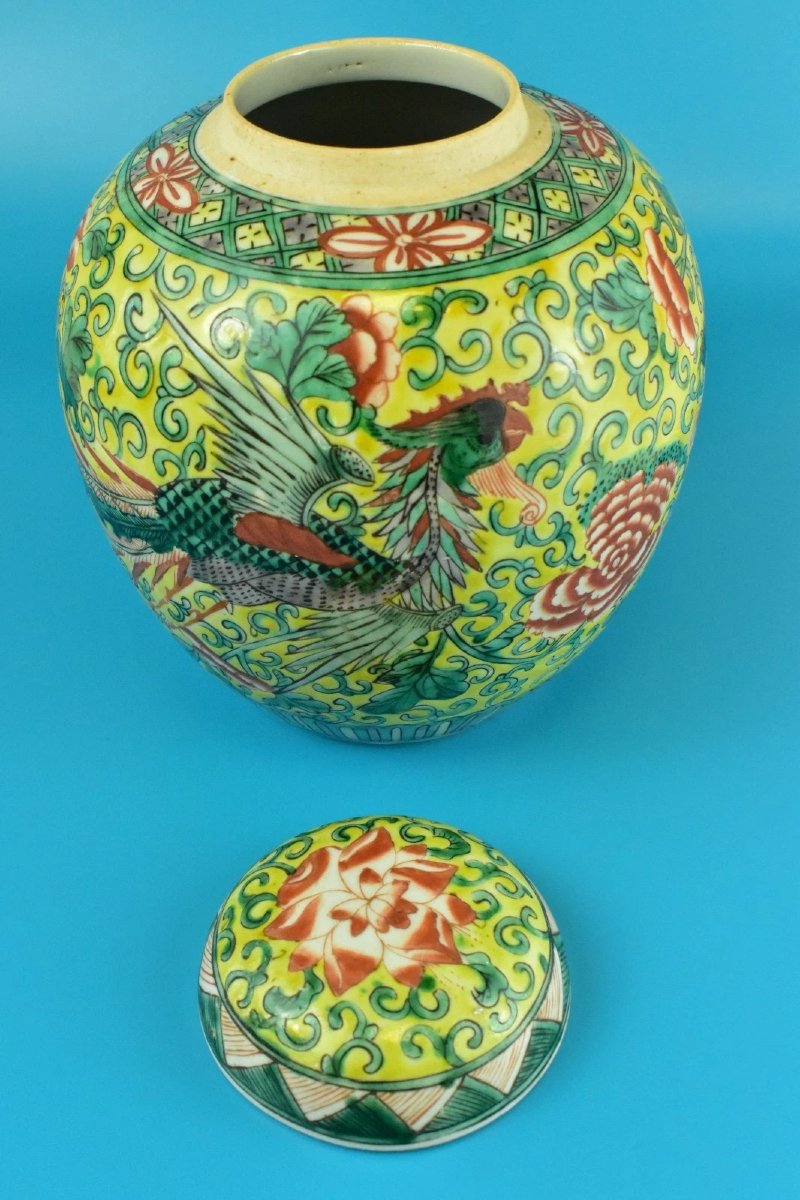 Pot à gingembre ancien chinois Qing Famille Jaune Wucai en porcelaine jaune Phoenix-photo-3