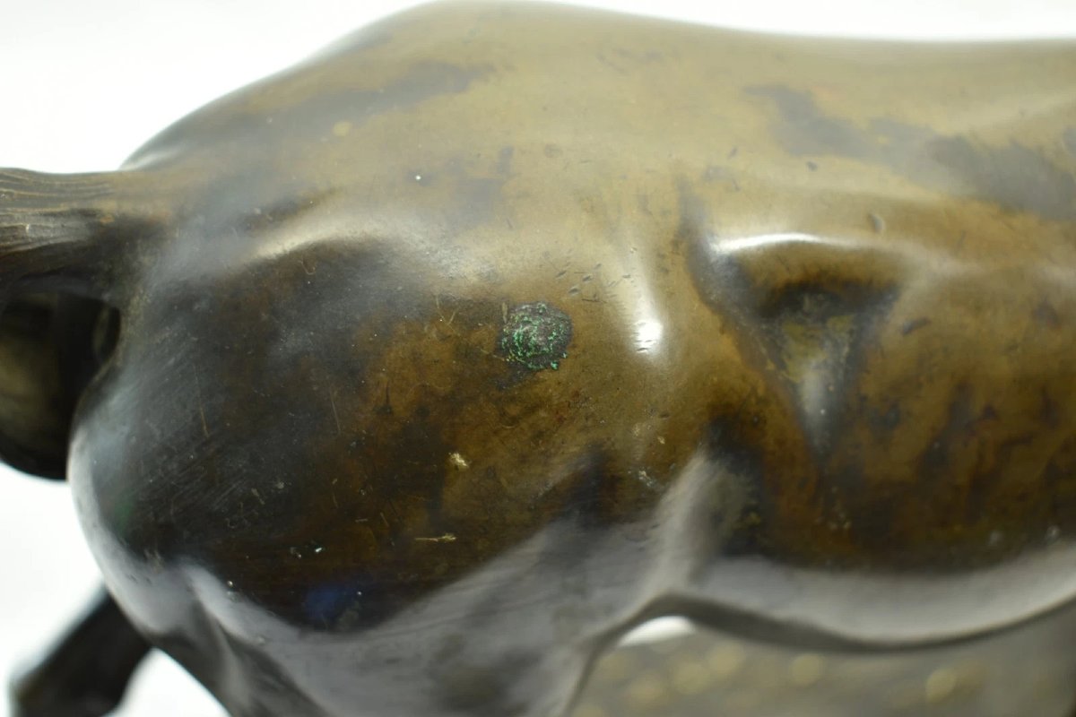 Antique Italian Bronze Horse Sculpture Signed Luigi Secchi & Muñoz 38cm 7kg-photo-4