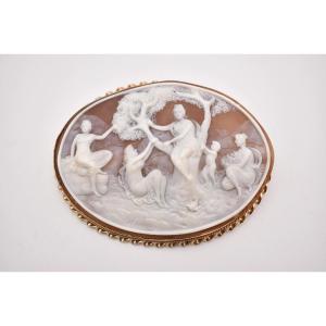 Grande Broche Camée Sculptée Dans Un Coquillage Par D. Fulio Sur Monture En Or 9ct
