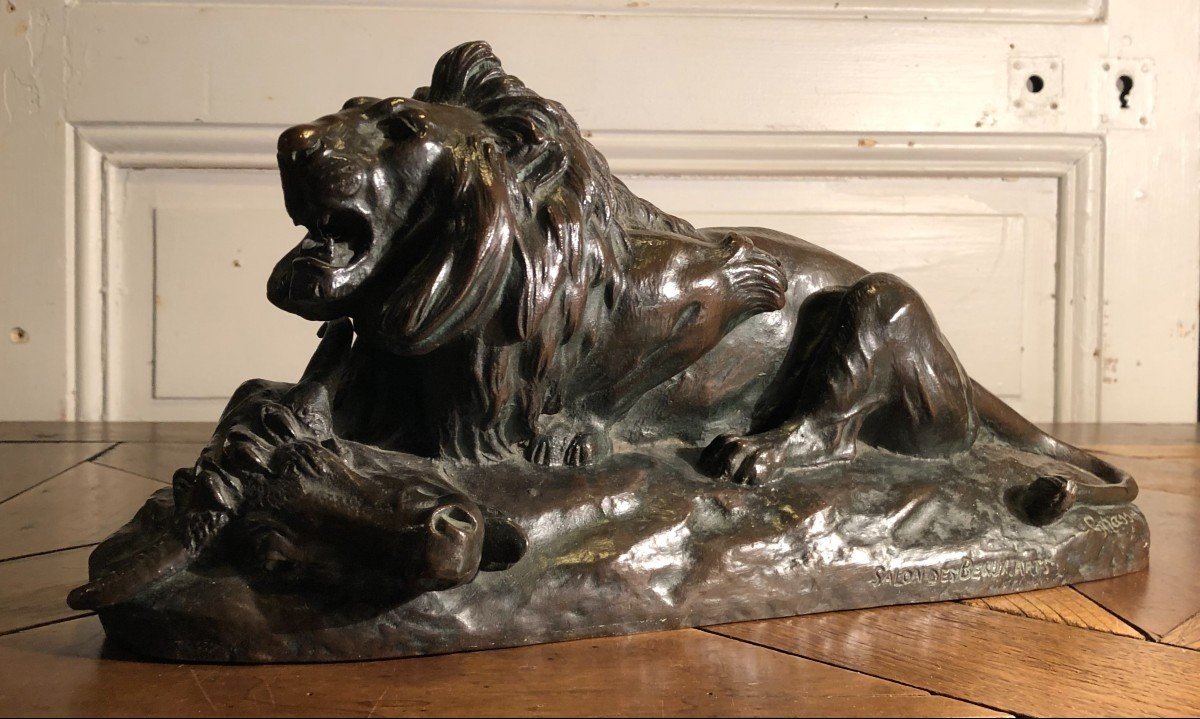 C. Masson "lion Devouring A Buffalo" In Bronze-photo-2