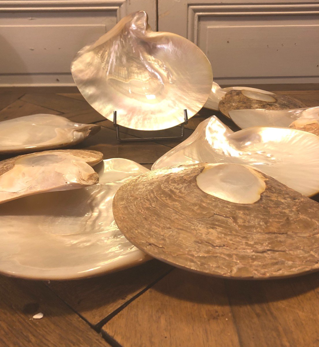 Suite De Douze Assiettes En Nacre Notamment Pour Le Caviar  -photo-1