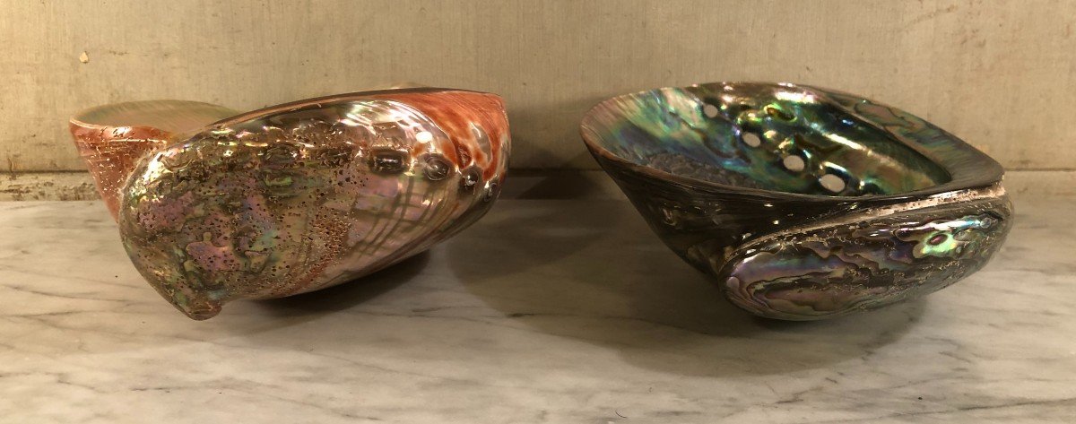 Deux Importantes Coquilles d&#039;Ormeaux -photo-1