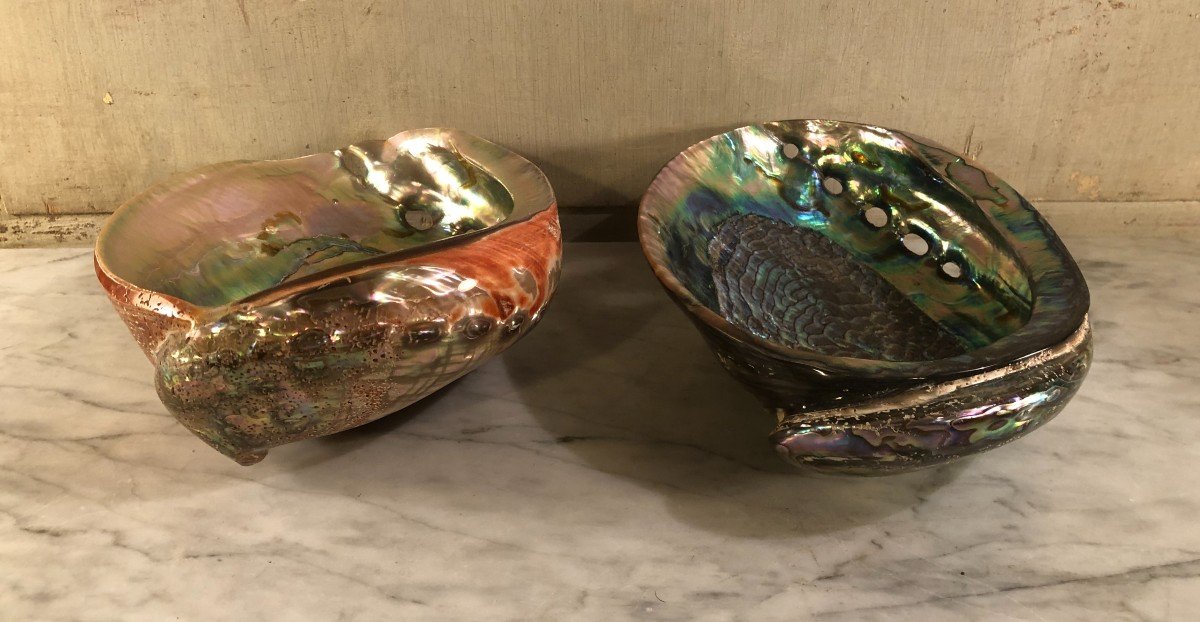 Deux Importantes Coquilles d&#039;Ormeaux -photo-2