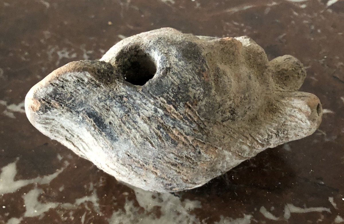 Roman Oil Lamp With Bearded Man's Head In Terracotta  -photo-4