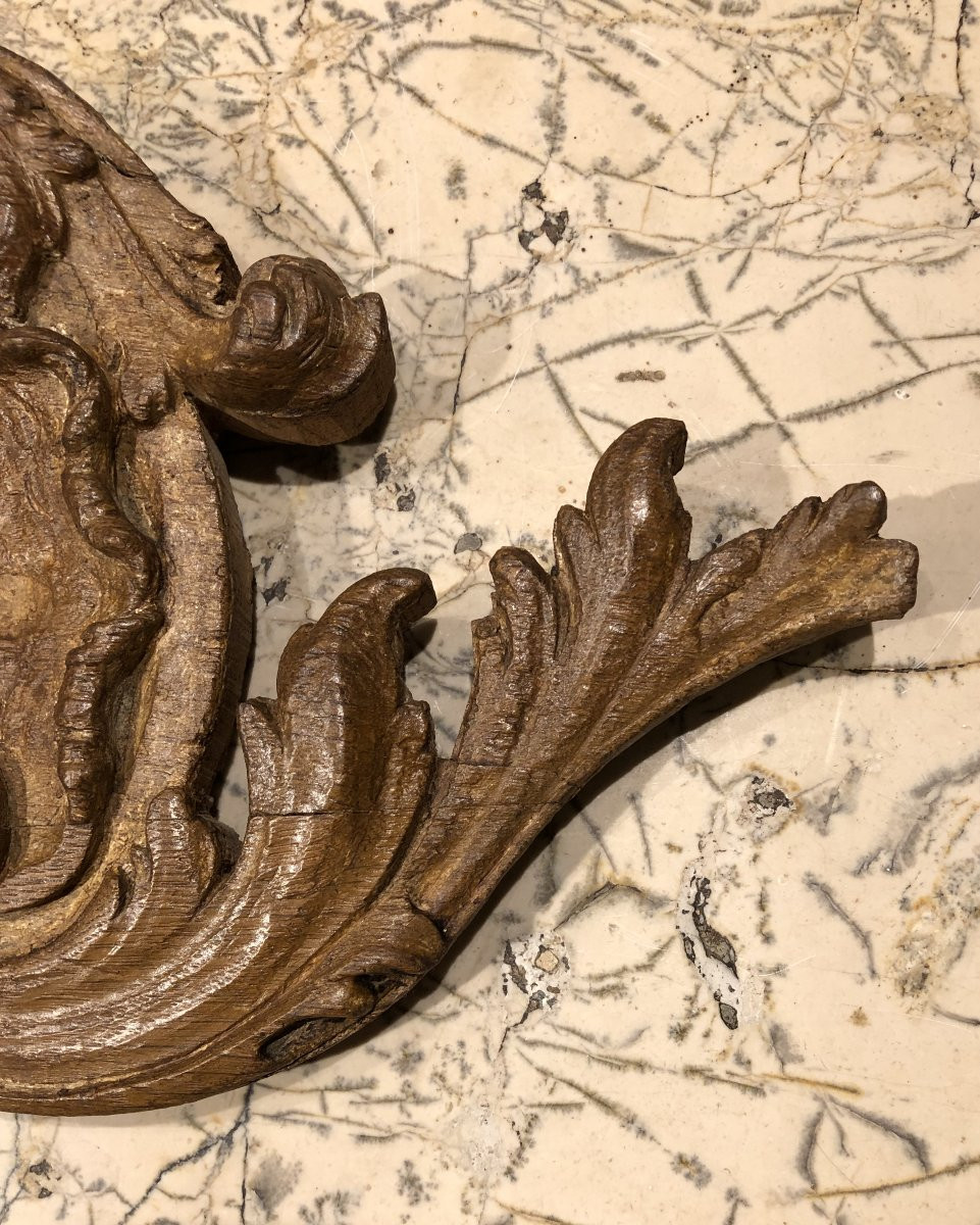 feuille d'acanthe en chêne sculpté XVIII° siècle -photo-2