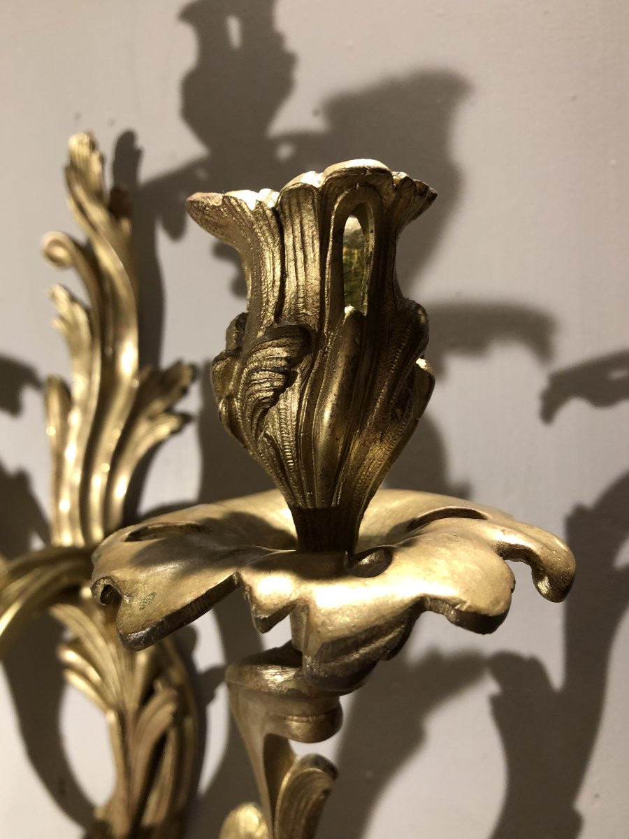 Pair Of Louis XV Style Gilt Bronze Wall Sconces With Four Lights -photo-2