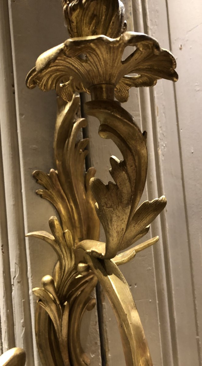 Pair Of Louis XV Style Gilt Bronze Wall Sconces With Four Lights -photo-5