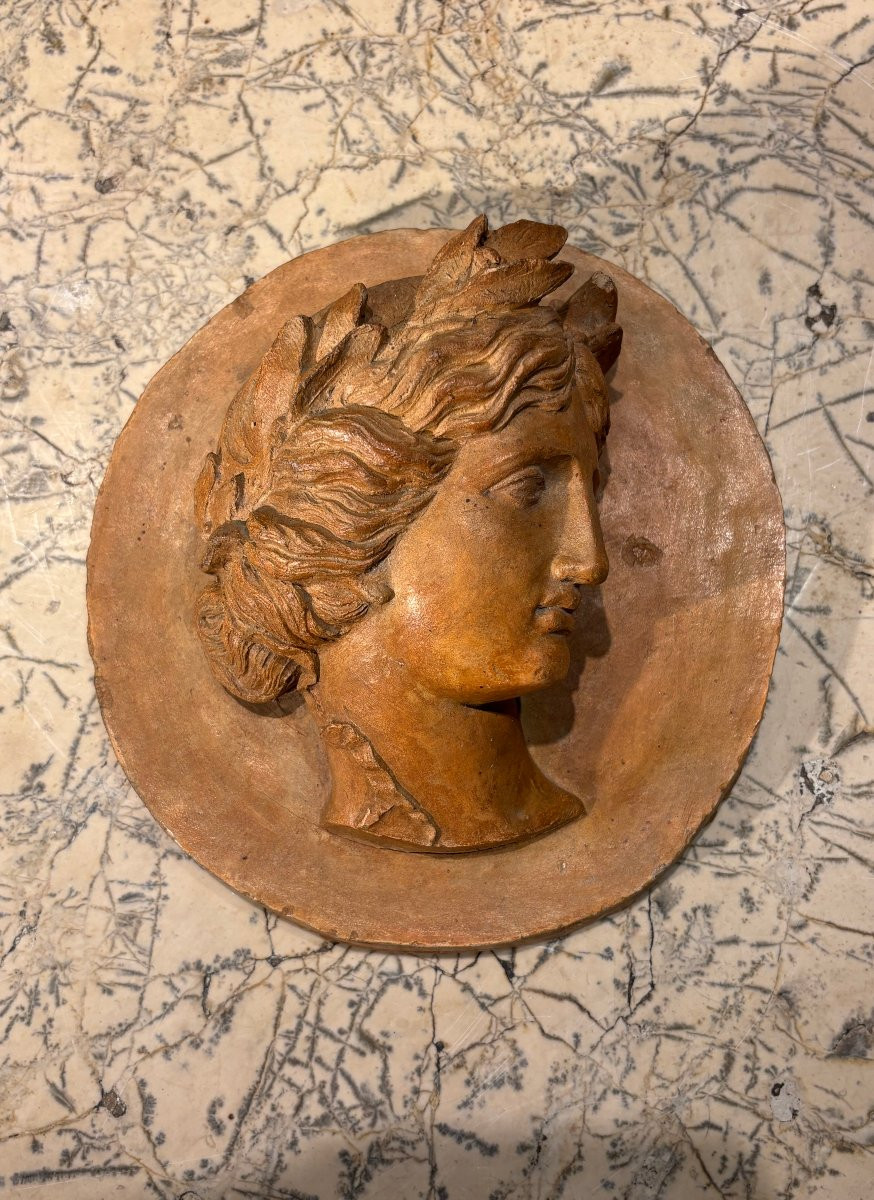 Médaillon profil d'Apollon en terre cuite -photo-2