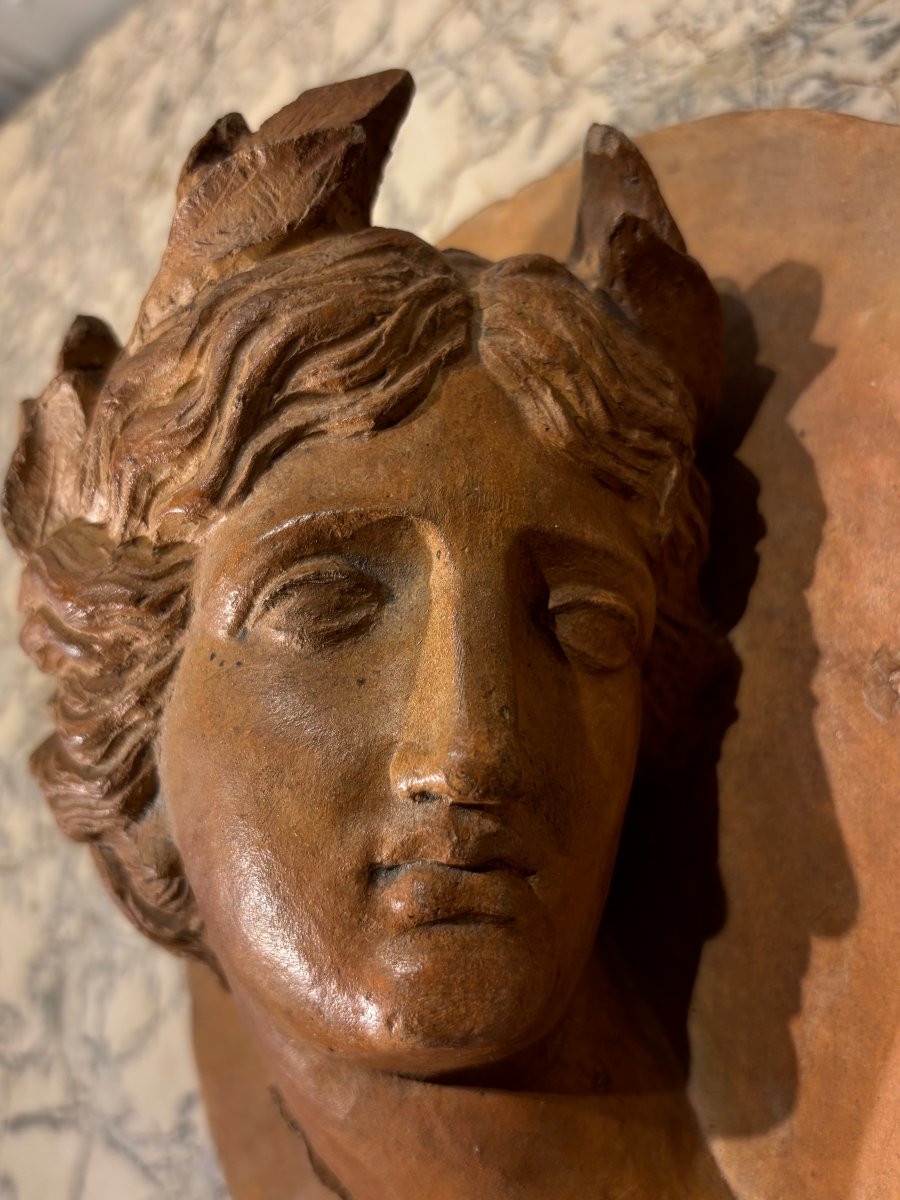 Médaillon profil d'Apollon en terre cuite -photo-4