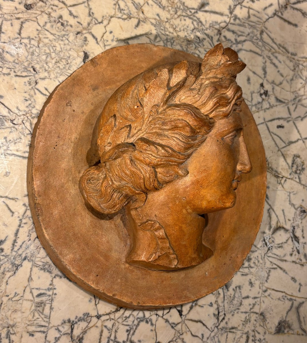 Médaillon profil d'Apollon en terre cuite -photo-1