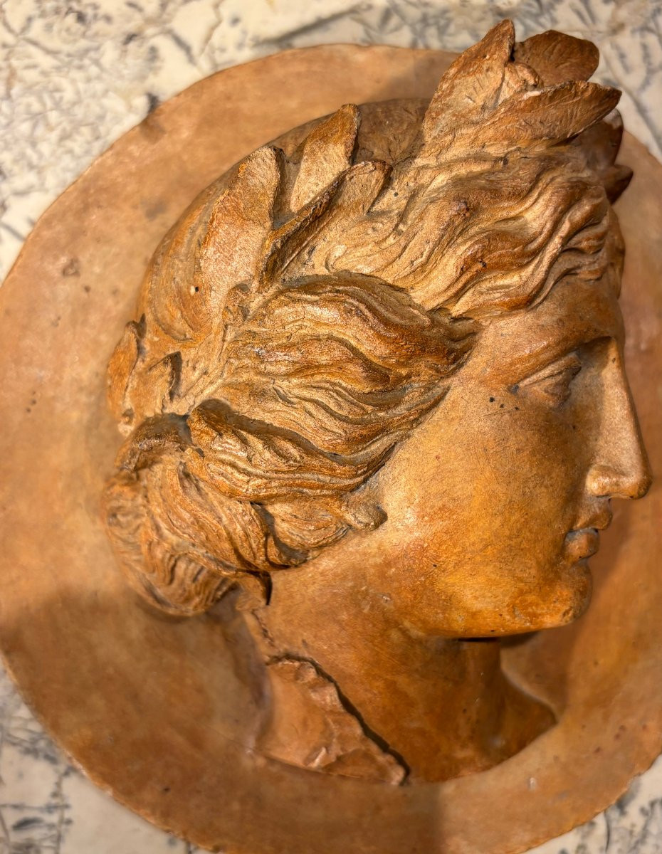 Médaillon profil d'Apollon en terre cuite -photo-2