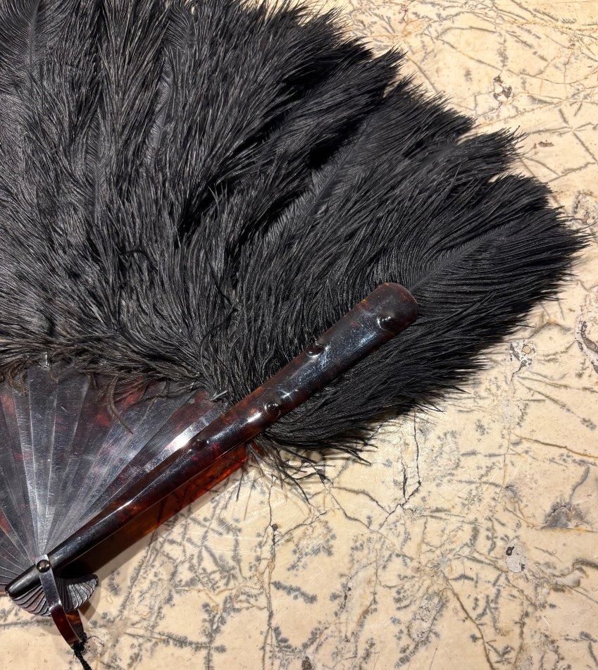 Eventail en plumes d'autruche et monture écaille XIX° siècle -photo-2