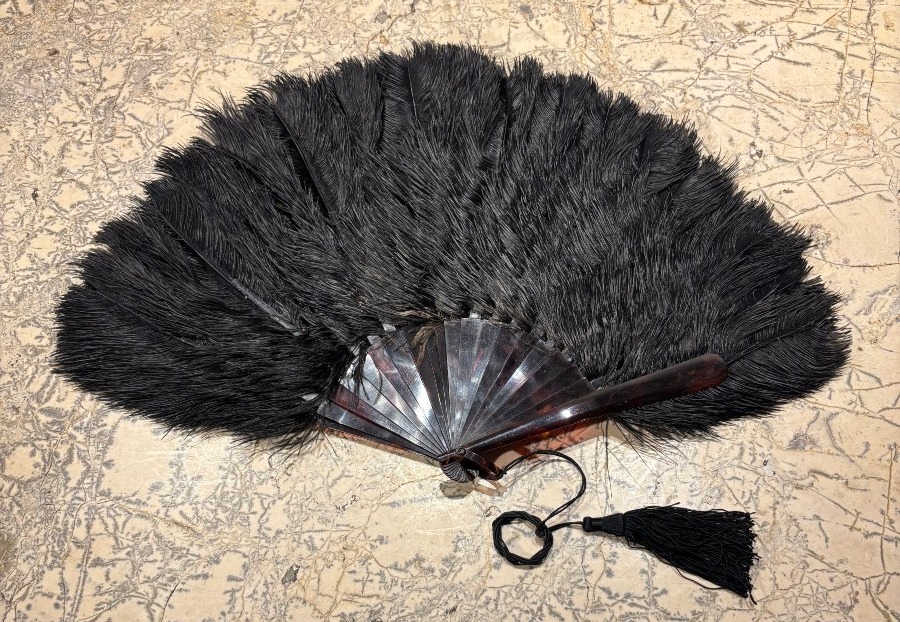 Eventail en plumes d'autruche et monture écaille XIX° siècle -photo-4
