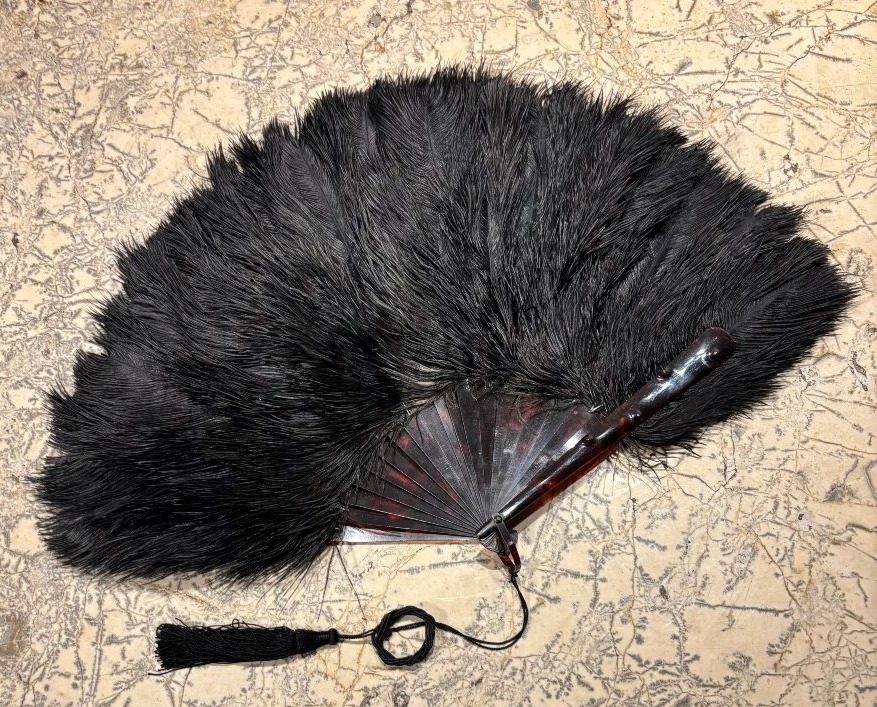 Eventail en plumes d'autruche et monture écaille XIX° siècle 