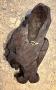 1757323-alb-69ff703a2fffd.jpg