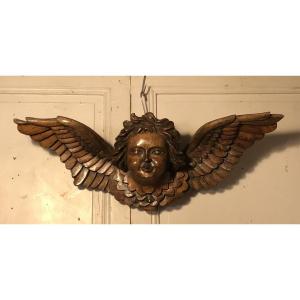 Large Carved Walnut Angel Head