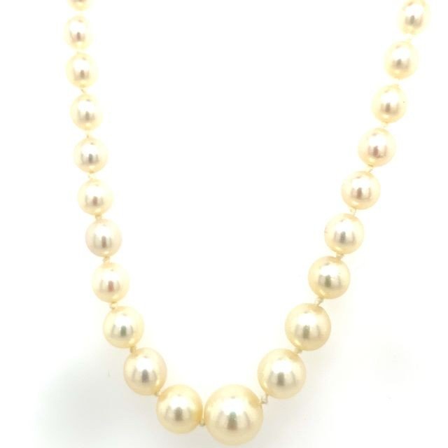 Vintage 2 Row Coral Necklace 4.7mm-6.9mm On 9ct Gold Clasp & C Bracelet-photo-3