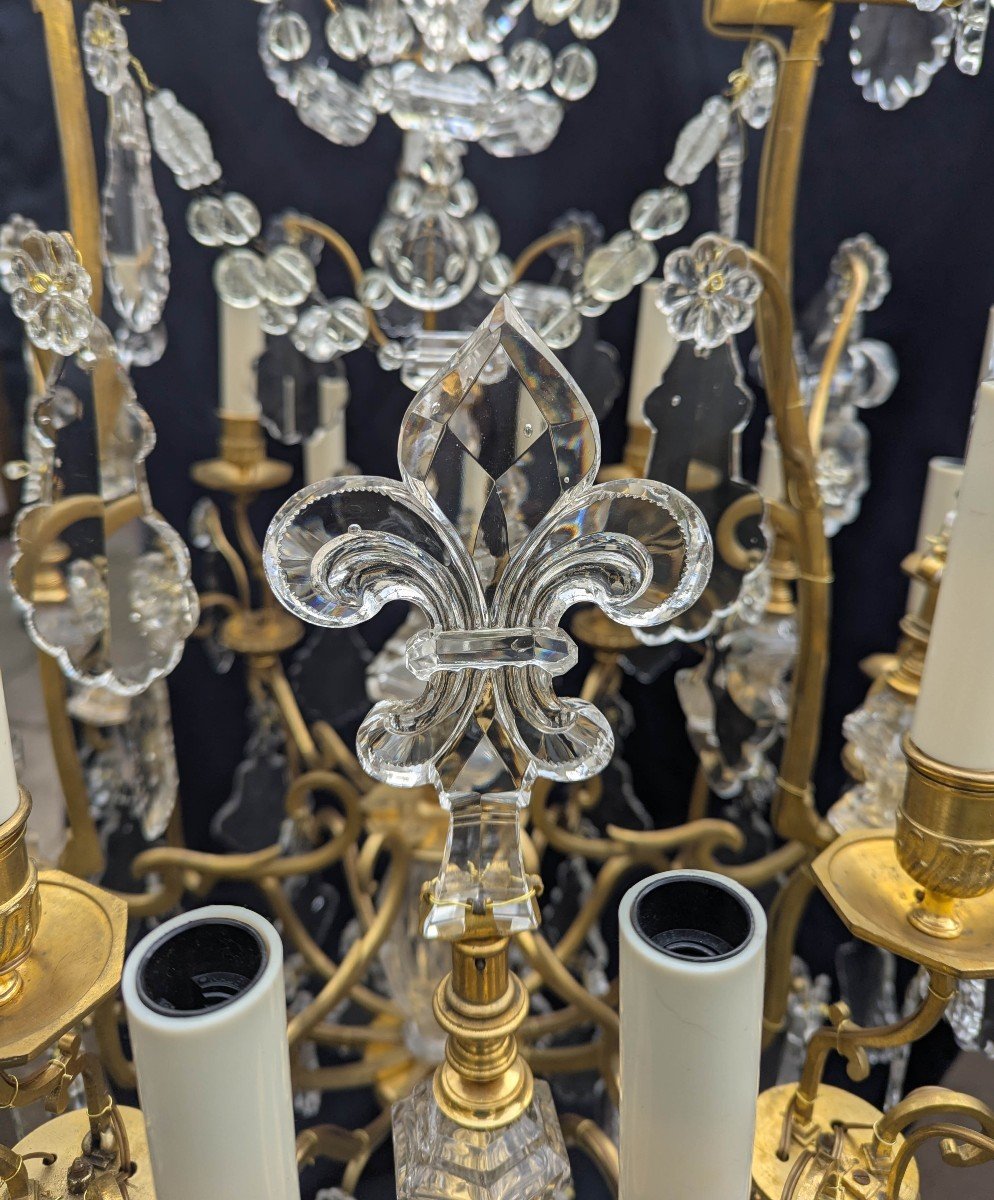 Louis XV Style 18-light Cage Chandelier In Bronze And Baccarat Crystal-photo-2