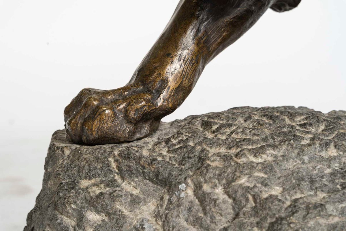 Lion en bronze sur granit signé T Lecas-photo-7