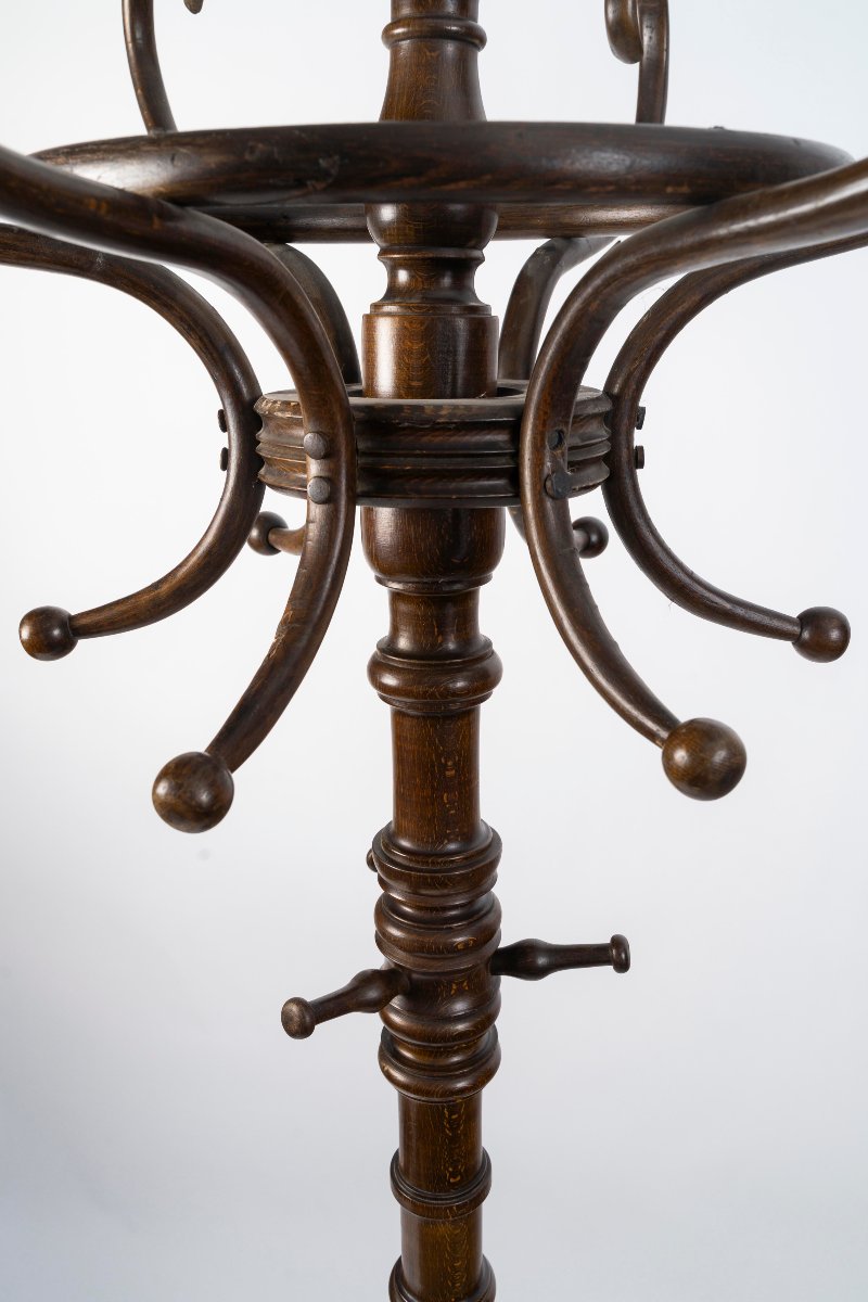 Porte Manteau  Modèle Perroquet N°2 de la maison Fischel-photo-5