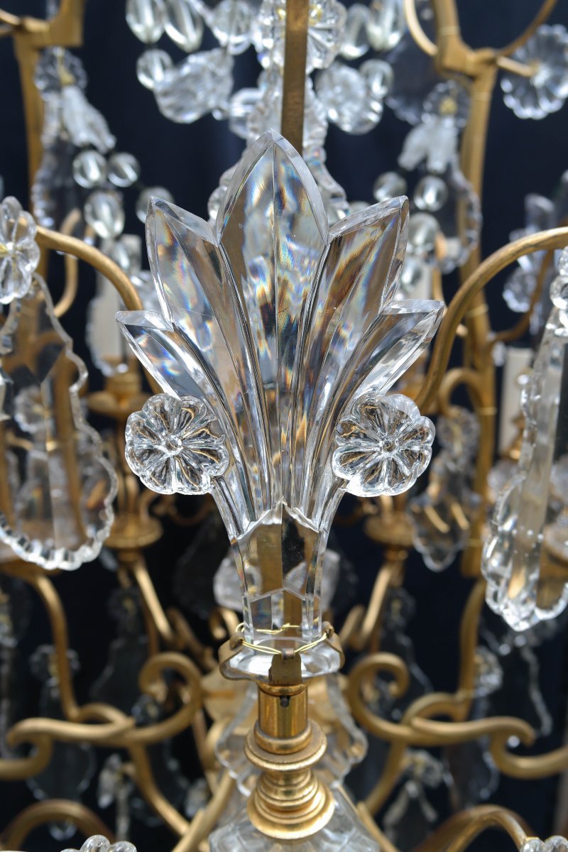Lustre cage à 18 feux en bronze doré et cristal de Baccarat aux fleurs de Lys-photo-6