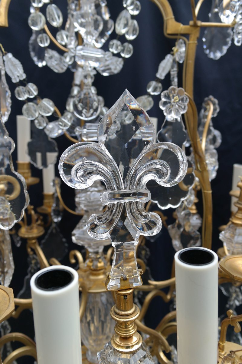 Lustre cage à 18 feux en bronze doré et cristal de Baccarat aux fleurs de Lys-photo-7