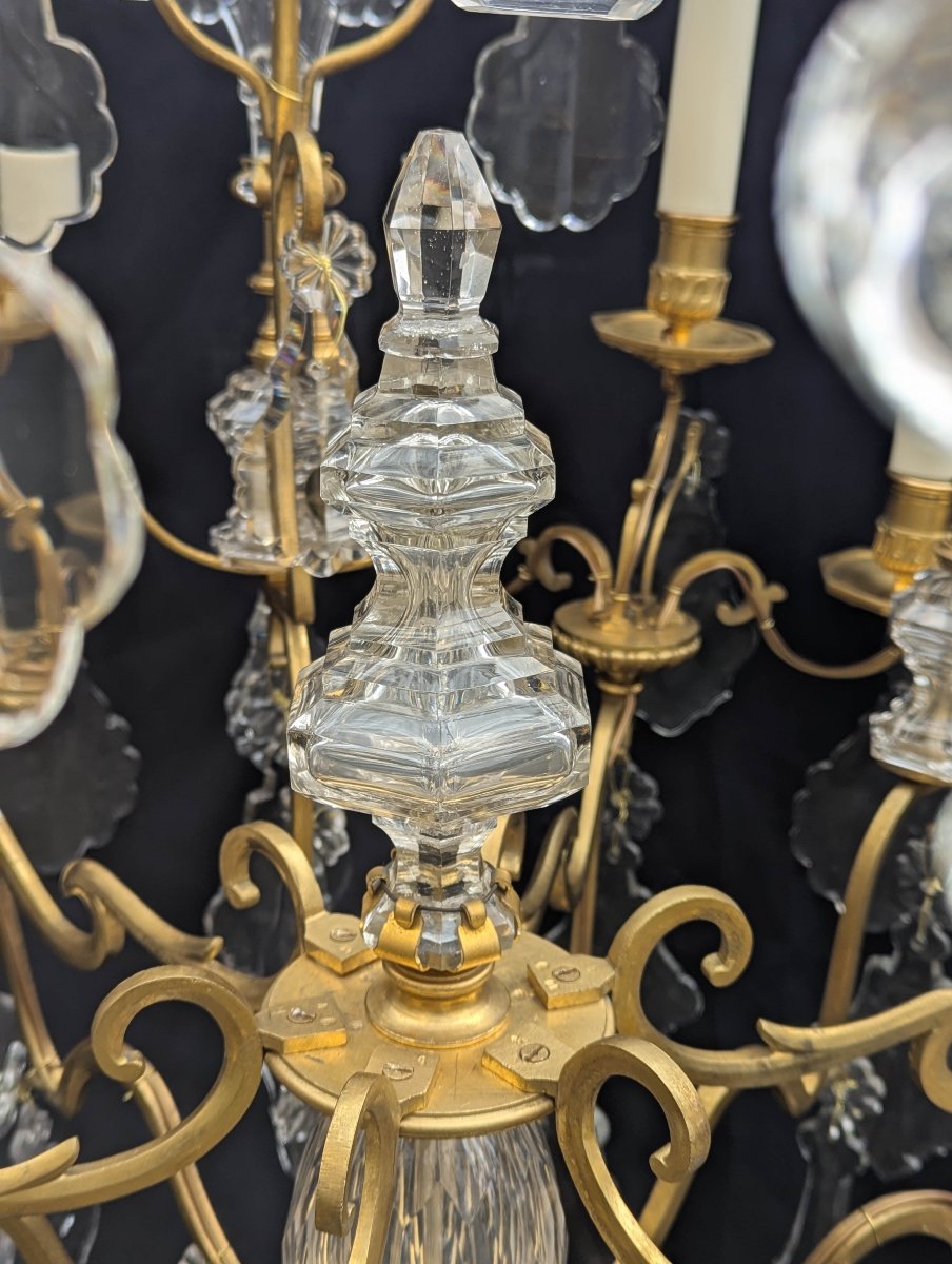 Lustre cage à 18 feux en bronze doré et cristal de Baccarat aux fleurs de Lys-photo-8