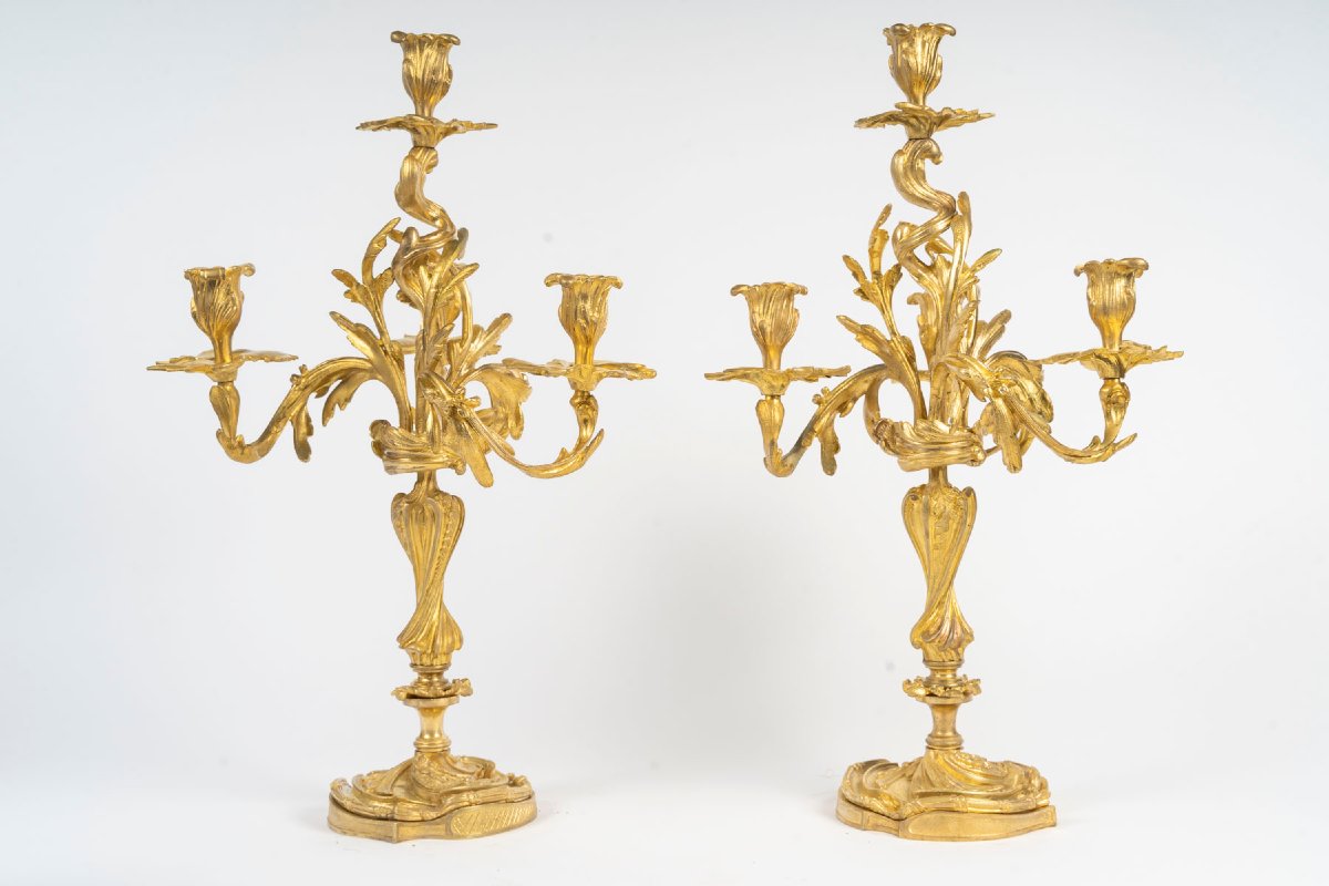 Paire de candélabres en bronze doré, style Louis XV