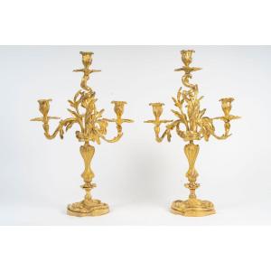 Pair Of Gilded Bronze Candelabra, Louis XV Style