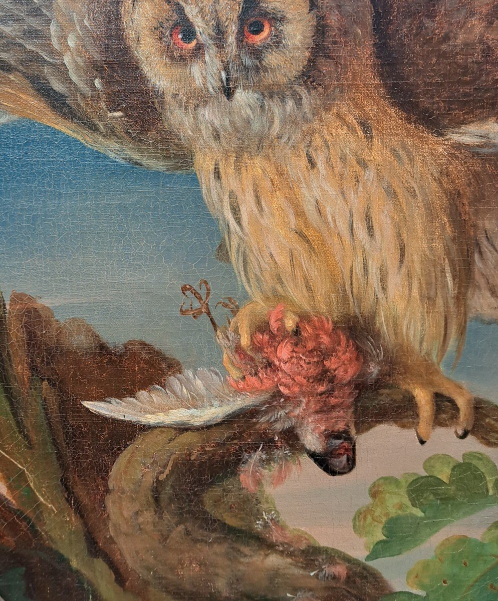 Follower Of Jean Jacques Bachelier (1724-1806), The Owl And Its Prey, Oil-photo-3