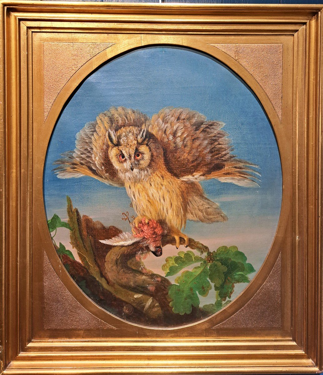 Follower Of Jean Jacques Bachelier (1724-1806), The Owl And Its Prey, Oil