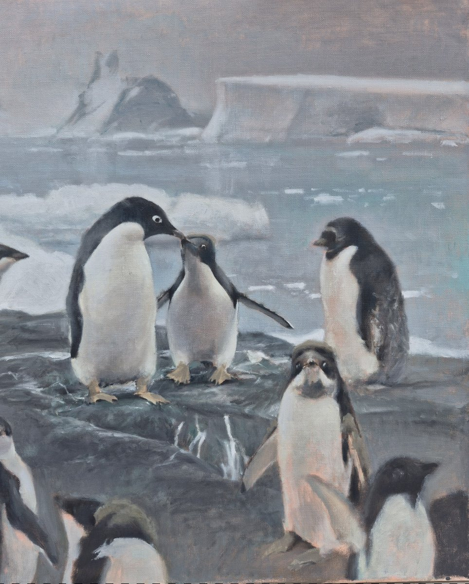 Luc Bernay (born In 1993), Penguins On The Ice Floe, Oil-photo-3