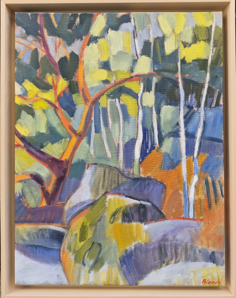 Claire Bianchi (b. 1963),forest #4-photo-2