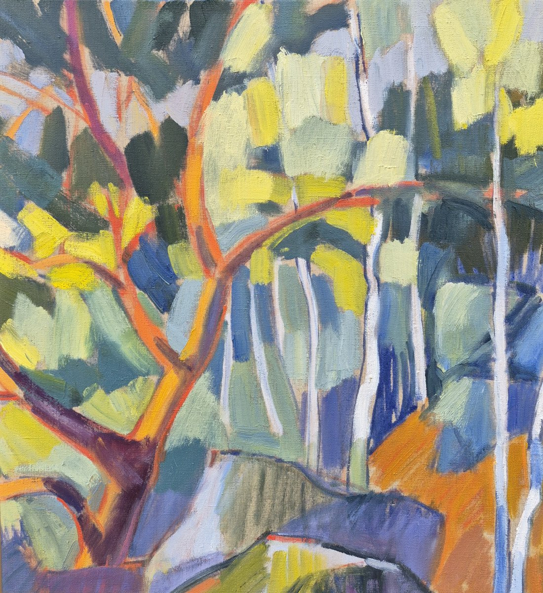 Claire Bianchi (b. 1963),forest #4-photo-3