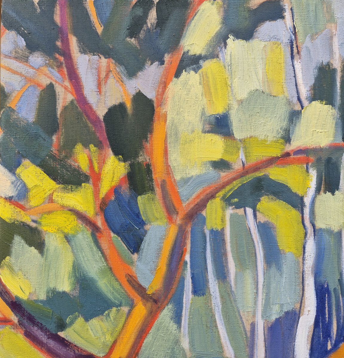 Claire Bianchi (b. 1963),forest #4-photo-4