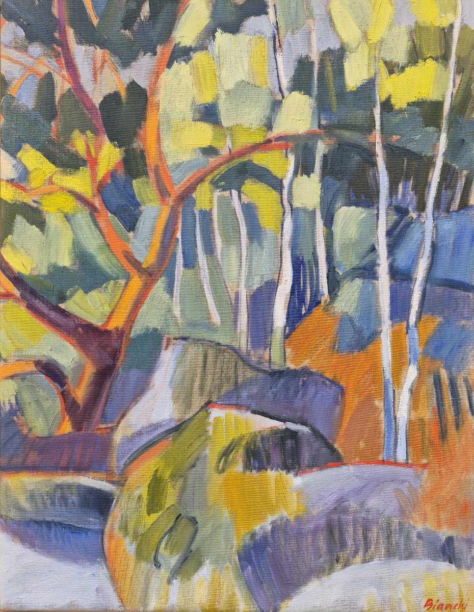 Claire Bianchi (b. 1963),forest #4