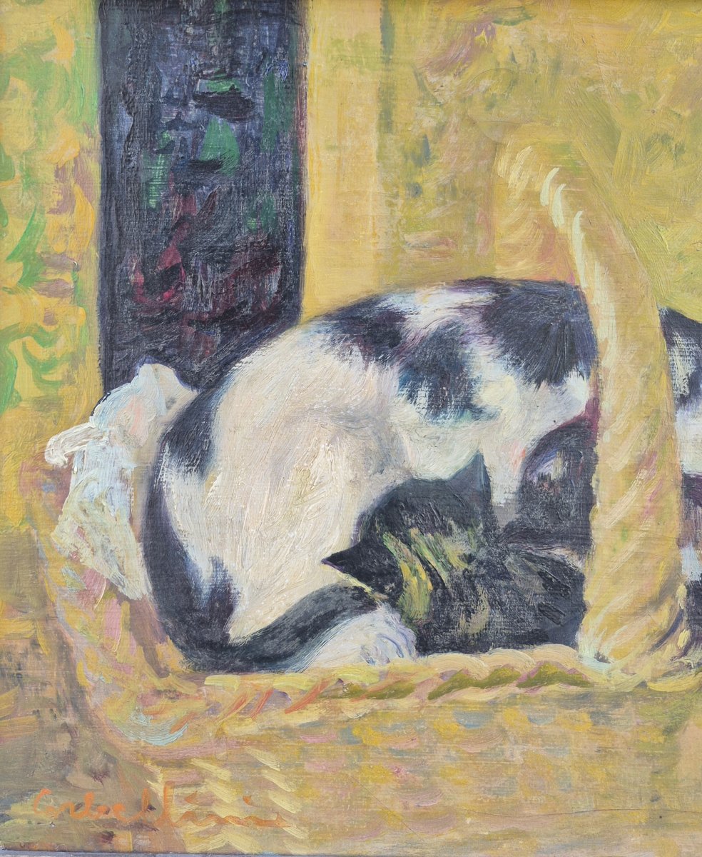 Luigi Corbellini (1901-1968), une chatte et ses petits-photo-4