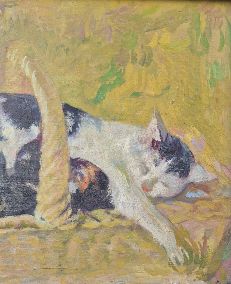 Luigi Corbellini (1901-1968), une chatte et ses petits-photo-1