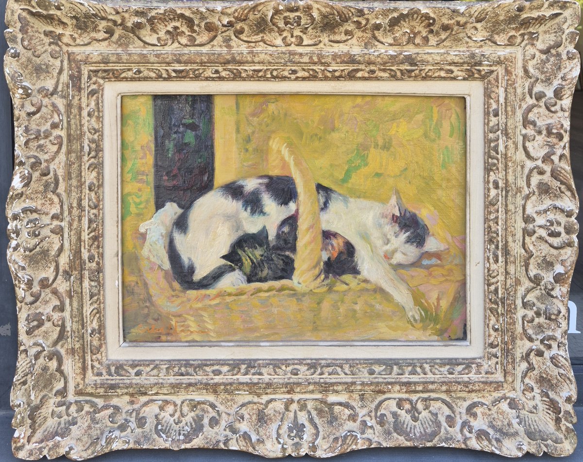 Luigi Corbellini (1901-1968), une chatte et ses petits
