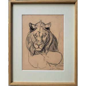 Eugène-antoine Borga (1885-1964), étude De Lion
