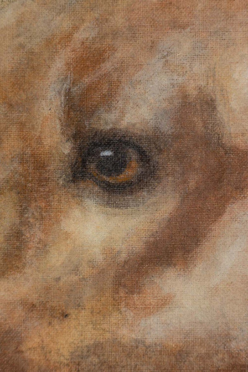 Painted Canvas Representing A Dog. Contemporary Work.-photo-1