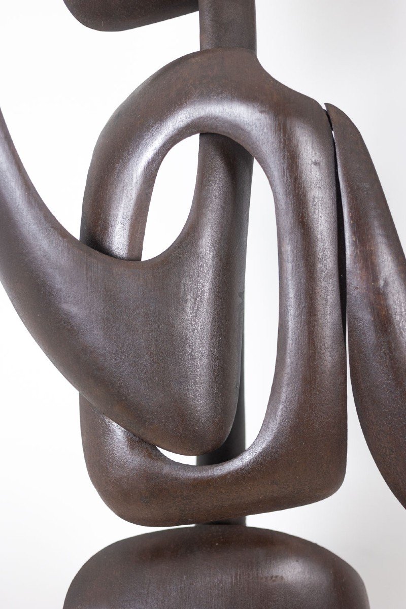 Antonine De Saint Pierre. Curved Metal Sculpture. Contemporary Work. Ls62278160-photo-3