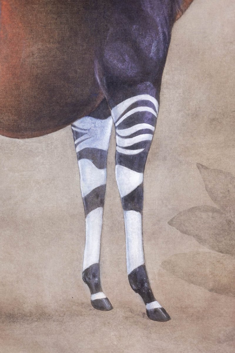 Toile Peinte Représentant Un Okapi Sur Un Fond Gris. Contemporain. Ls63391621b-photo-3