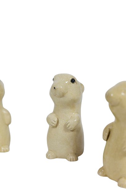 Valérie Courtet. Chien de prairie. Travail contemporain. LS5619109B-photo-4